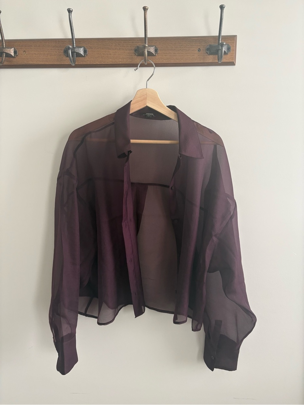Express Plum Button-Up Blouse